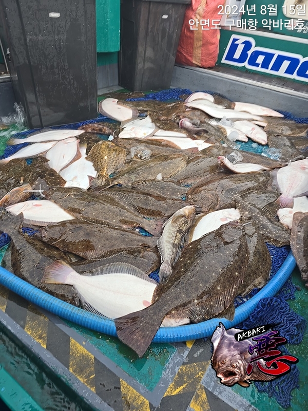 악바리호의 조황일지 이미지 - 0