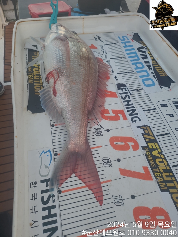 군산에프원호의 조황일지 이미지 - 7