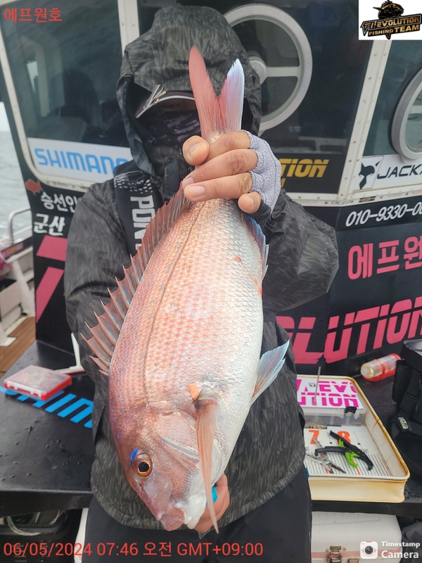 군산에프원호의 조황일지 이미지 - 7