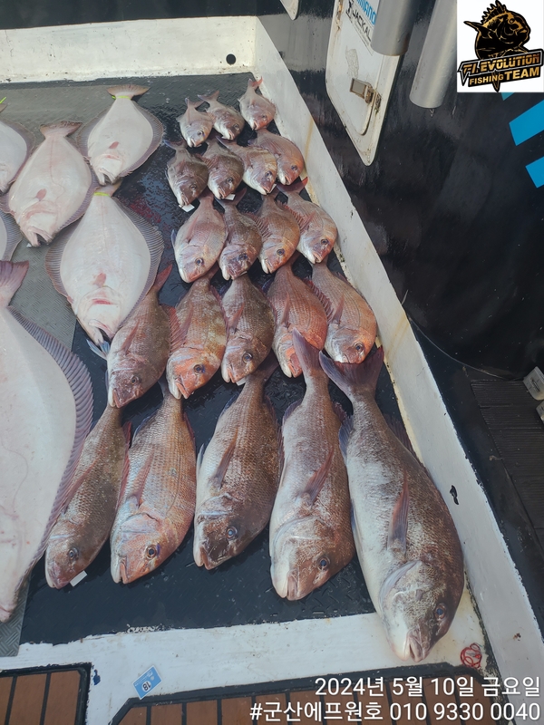 군산에프원호의 조황일지 이미지 - 9