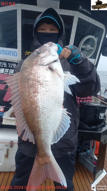 군산에프원호의 조황일지 이미지 - 10