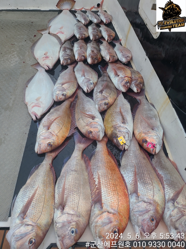 군산에프원호의 조황일지 이미지 - 16