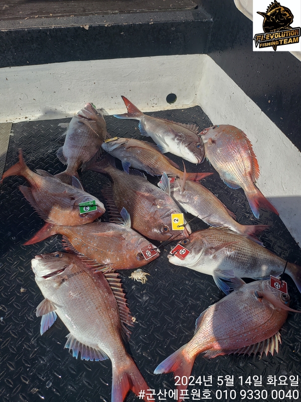 군산에프원호의 조황일지 이미지 - 0