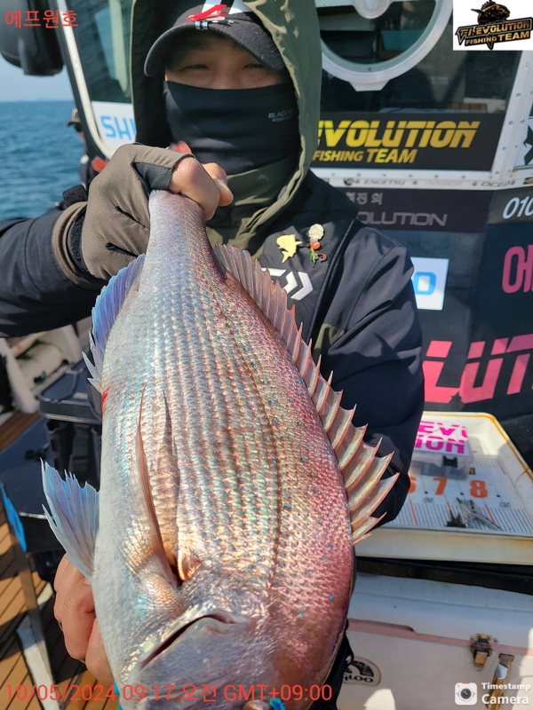 군산에프원호의 조황일지 이미지 - 2