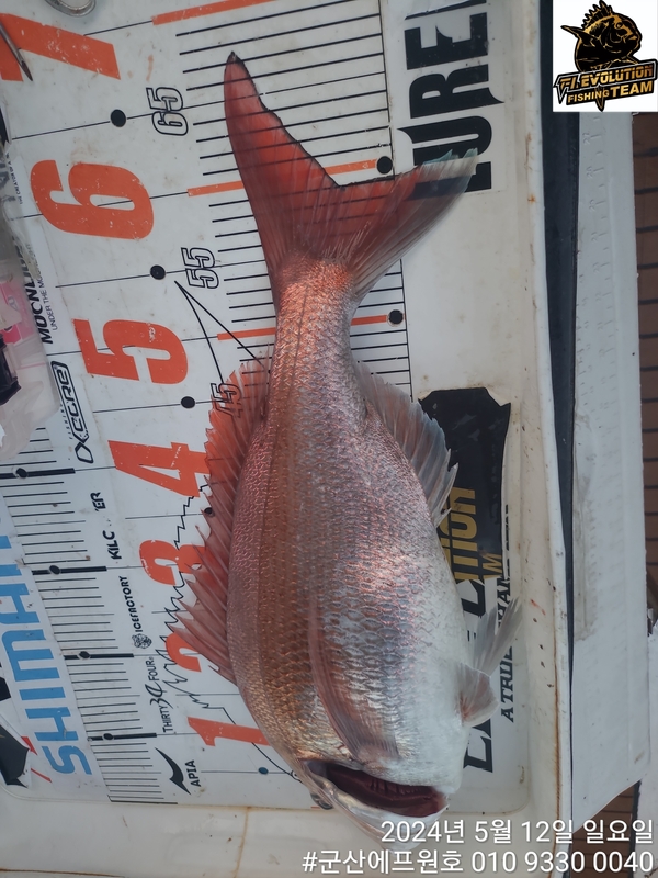 군산에프원호의 조황일지 이미지 - 2