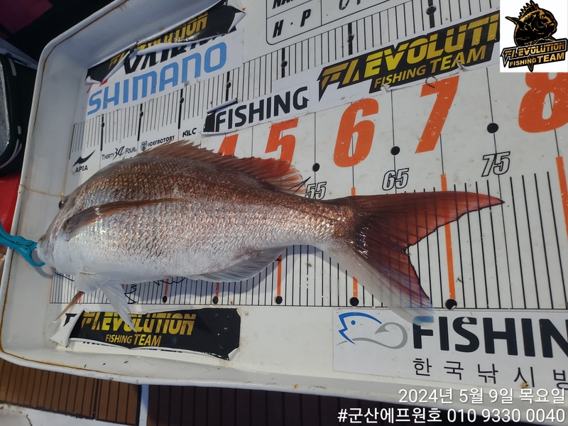 군산에프원호의 조황일지 이미지 - 5