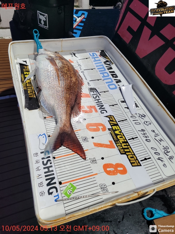 군산에프원호의 조황일지 이미지 - 8