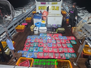 무늬팁런!역대급 마릿수 쏟아지는 중! 선상낚시로 잡은 물고기 조황