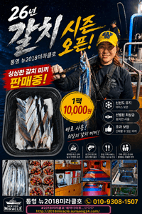 갈치루어 출항합니다 선상낚시로 잡은 물고기 조황