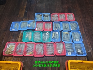 무늬!통영권 계속 호조황 선상낚시로 잡은 물고기 조황