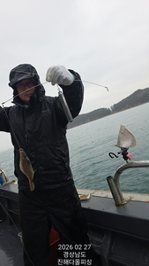 진해 도다리 조황. 내일 예약가능 선상낚시로 잡은 물고기 조황
