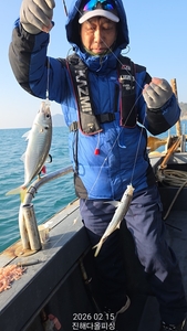 진해 다올피싱 2.15 전갱이낚시. 설연휴 출항합니다. 선상낚시로 잡은 물고기 조황