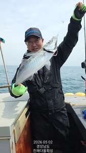 전갱이 선상낚시.  선상낚시로 잡은 물고기 조황