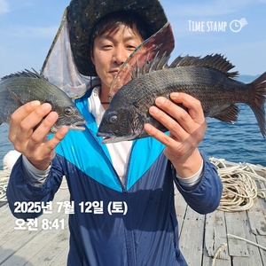 가조도권!!!감성돔덴마..마릿수!!예약가능 선상낚시로 잡은 물고기 조황