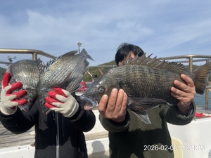 (흘림)어초,대물감성돔 5짜~4짜외 마릿수조황~내일예약가능 선상낚시로 잡은 물고기 조황