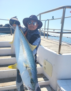 먼바다 본류대 참돔,부시리 마릿수 흘림 ~예약가능 선상낚시로 잡은 물고기 조황