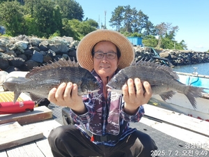 가조도권!!!감성돔덴마..5짜.4짜외마릿수!!예약가능 선상낚시로 잡은 물고기 조황