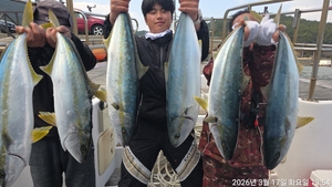 먼바다 본류대 참돔,부시리 마릿수 흘림 ~주말예약가능 선상낚시로 잡은 물고기 조황