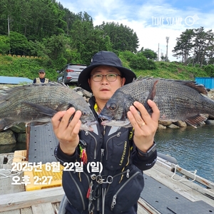 가조도권!!!감성돔덴마..5짜.4짜외마릿수!!예약가능 선상낚시로 잡은 물고기 조황