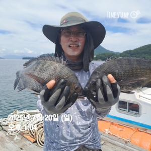 가조도권!!!감성돔덴마..마릿수!!예약가능 선상낚시로 잡은 물고기 조황