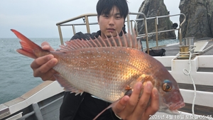 참돔흘림!!대물급참돔시즌 !내일예약가능 선상낚시로 잡은 물고기 조황
