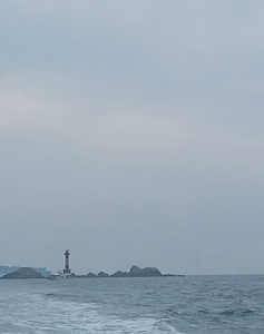 안경섬 본류대 참돔,부시리 흘림 출조 나갑니다  선상낚시로 잡은 물고기 조황