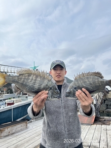 어초,흘림 대물감성돔 5짜,4짜외 마릿수~내일예약가능 선상낚시로 잡은 물고기 조황