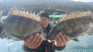(흘림)어초,여밭 대물감성돔 조황~ 예약가능 선상낚시로 잡은 물고기 조황