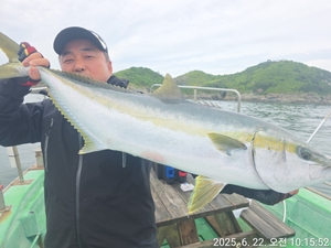 (참돔 흘림)씨알좋은 참돔외 대부시리!!퍽퍽~예약가능 선상낚시로 잡은 물고기 조황