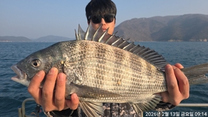 5짜 외 4짜로 시작!! 감시 퍽퍽 하네요~ 내일예약가능 선상낚시로 잡은 물고기 조황