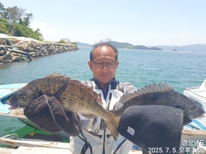 가조도권!!!감성돔덴마..5짜.4짜외마릿수!!예약가능 선상낚시로 잡은 물고기 조황