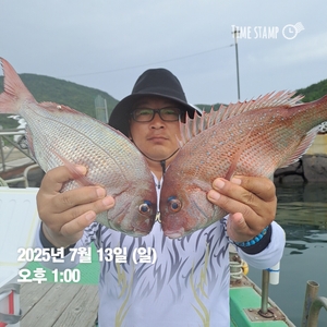 참돔흘림)참돔.!마릿수.퍽퍽합니다 ~예약가능 선상낚시로 잡은 물고기 조황