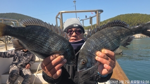 어초,흘림4짜,4짜.4짜 외 마릿수퍽퍽합니다~내일예약가능 선상낚시로 잡은 물고기 조황
