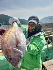 참돔흘림!!대물급들 다터지고!!참돔, 마릿수!내일예약가능 선상낚시로 잡은 물고기 조황
