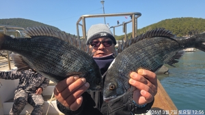 어초,흘림4짜,4짜.4짜 외 마릿수퍽퍽합니다~내일예약가능 선상낚시로 잡은 물고기 조황