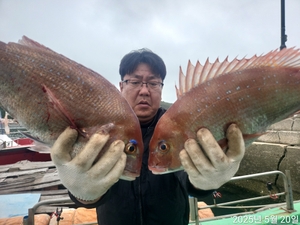 초대박 마릿수~ 대물들 터지고 벗겨지고도 물칸이 꽉 차네요 선상낚시로 잡은 물고기 조황