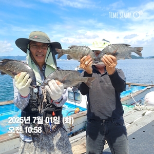 가조도권!!!감성돔덴마..5짜.4짜외마릿수!!예약가능 선상낚시로 잡은 물고기 조황