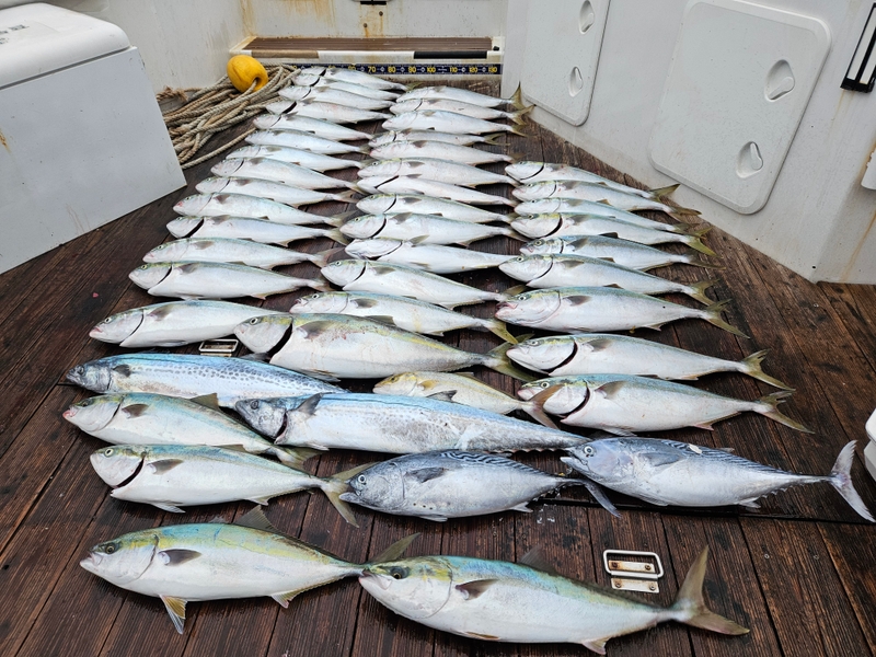 거제아지트호의 조황일지 이미지 - 0