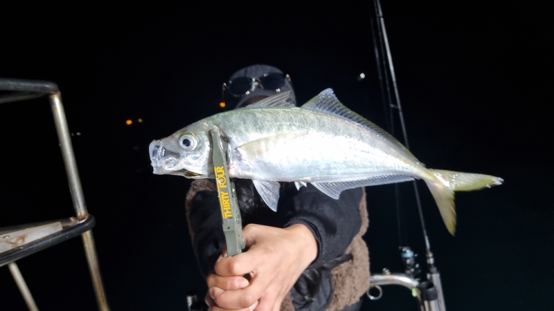 거제아지트호의 조황일지 이미지 - 1