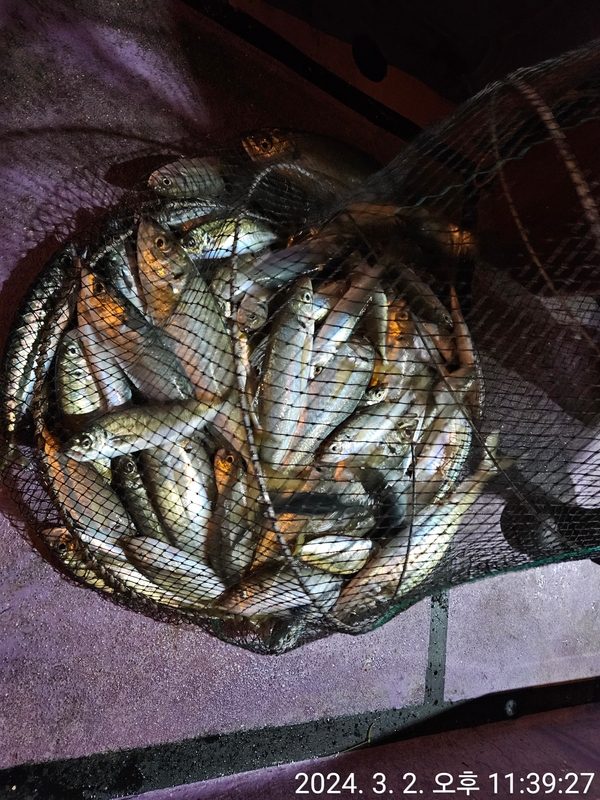 거제아지트호의 조황일지 이미지 - 14