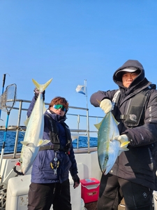 방어 마리수 시즌 계속 이어갑니다. 선상낚시로 잡은 물고기 조황