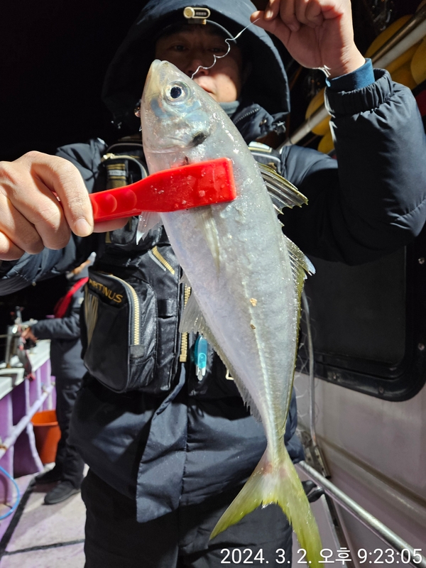 거제아지트호의 조황일지 이미지 - 16