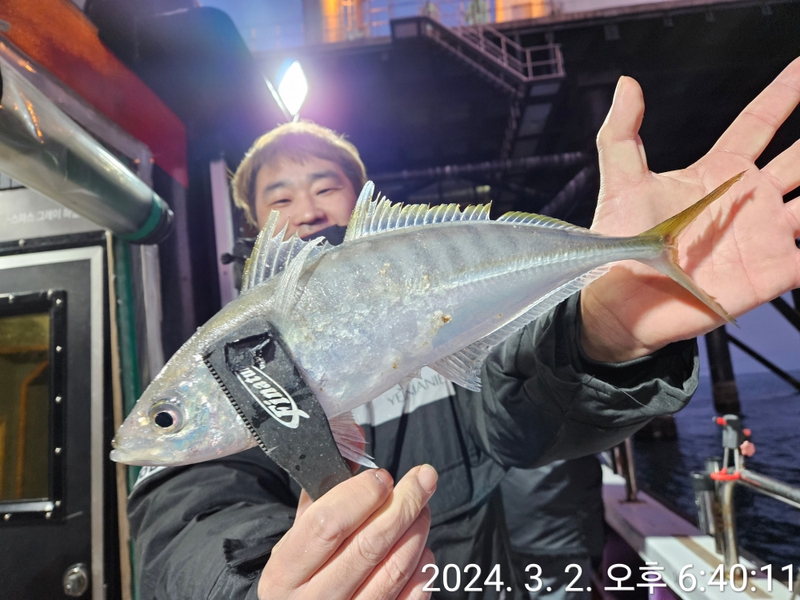 거제아지트호의 조황일지 이미지 - 5