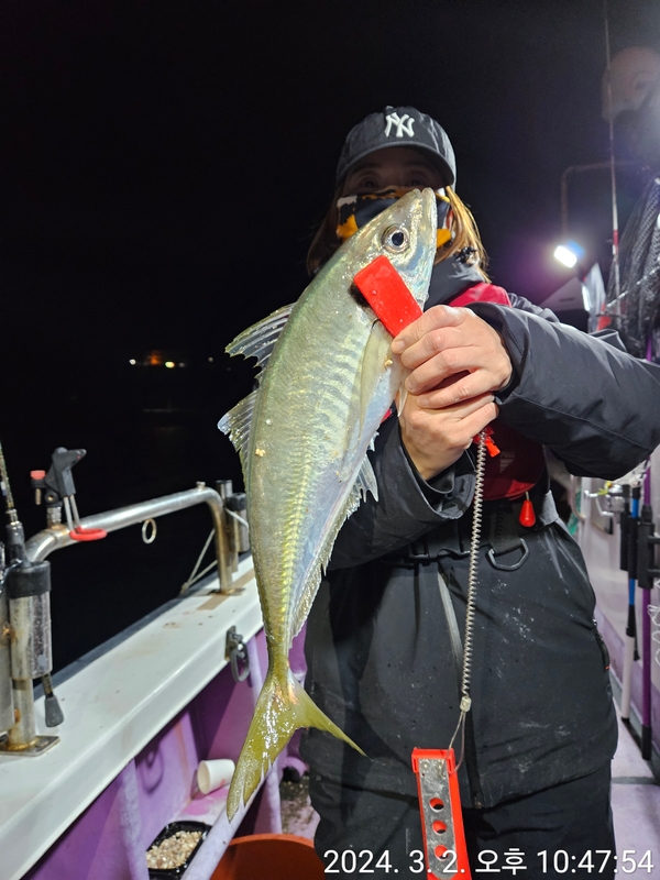 거제아지트호의 조황일지 이미지 - 0