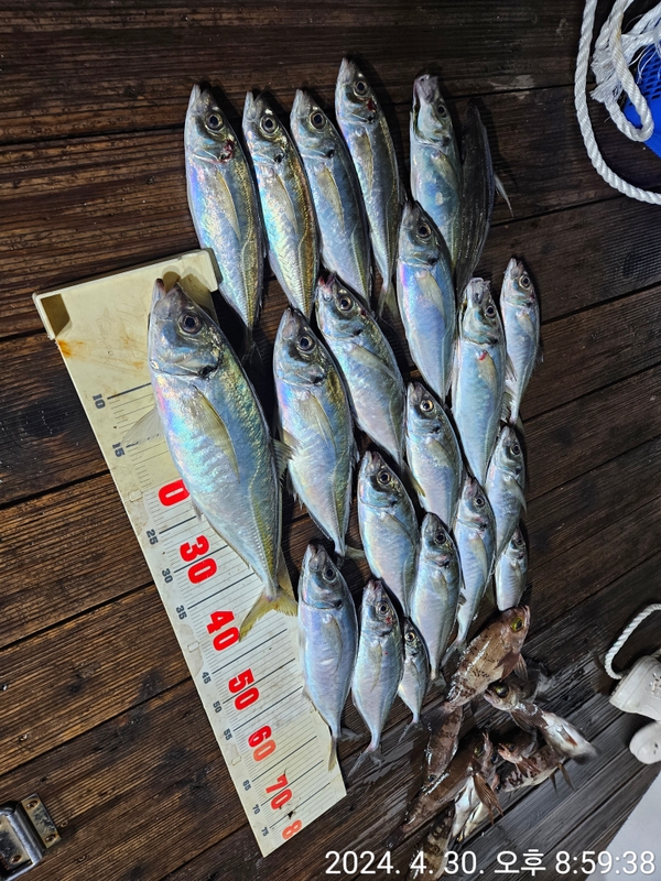 거제아지트호의 조황일지 이미지 - 2