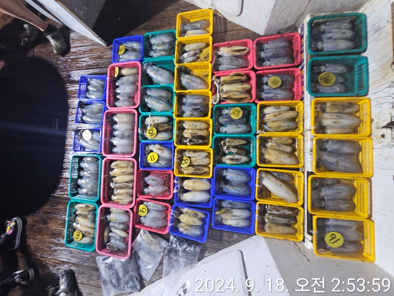 거제아지트호의 조황일지 이미지 - 1