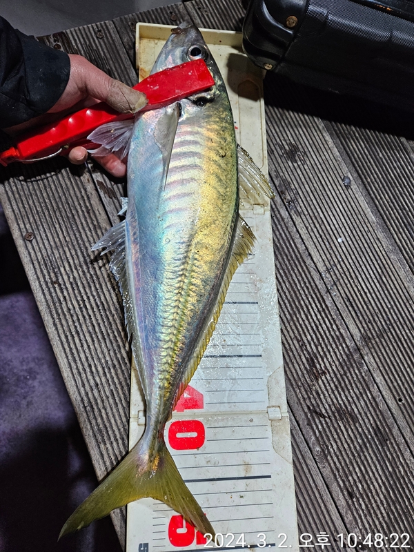 거제아지트호의 조황일지 이미지 - 6