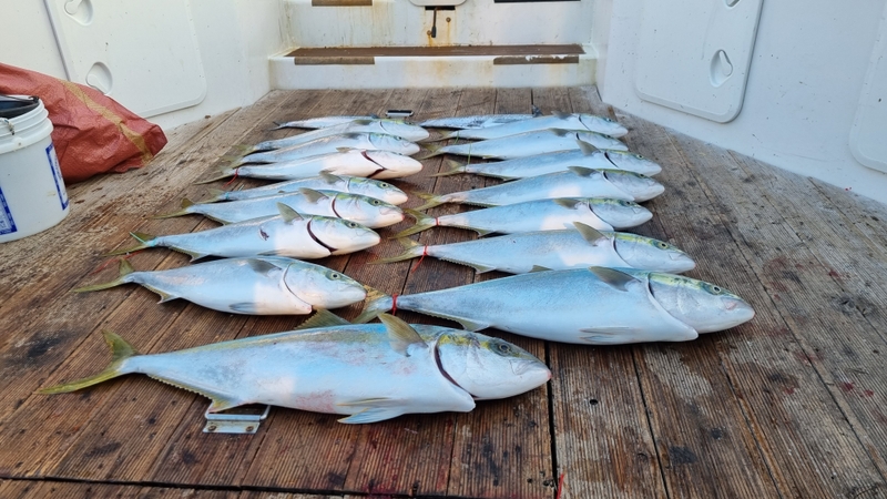 거제아지트호의 조황일지 이미지 - 6