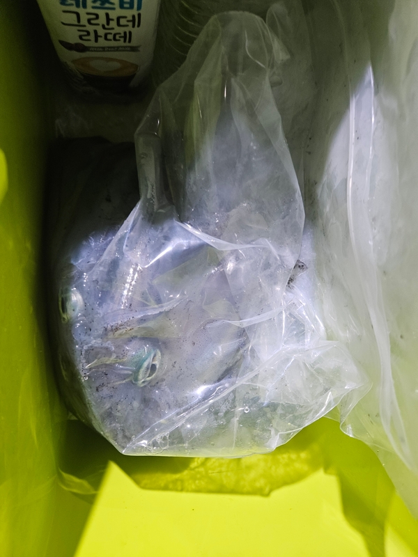 거제아지트호의 조황일지 이미지 - 2