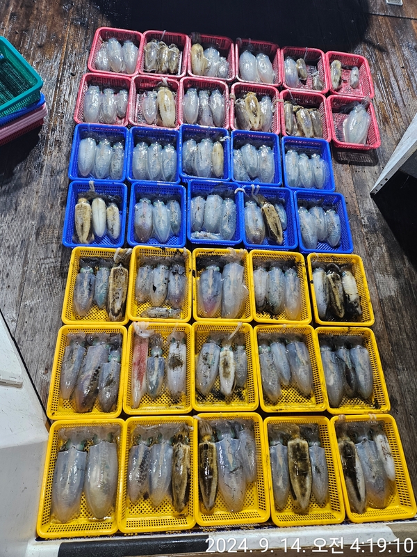 거제아지트호의 조황일지 이미지 - 2